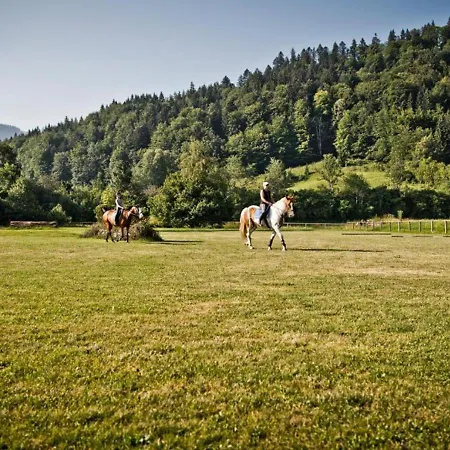 Bachmair Weissach See-apartments Appartement *